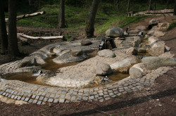 Dětské hřiště Prelát