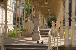 Karlovy Vary