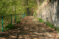 Karlovy Vary