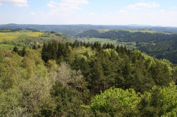 Rozhledny - Mariánské Lázně a okolí