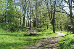 Mariánské Lázně