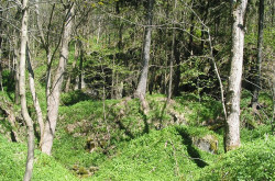 Mariánské Lázně