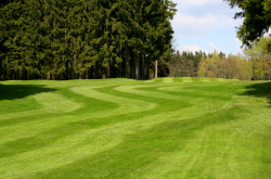 Golfový klub Mariánské Lázně