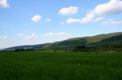 Mariánské Lázně