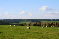 Mariánské Lázně