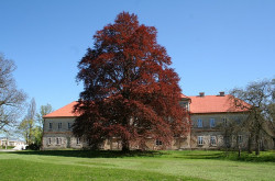 Zámek Kynžvart