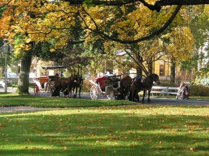 Die Stadt Marienbad